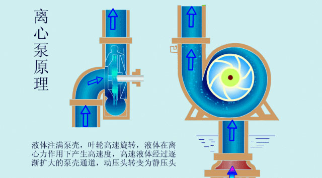 离心泵启动时，出口阀门必须关闭吗？