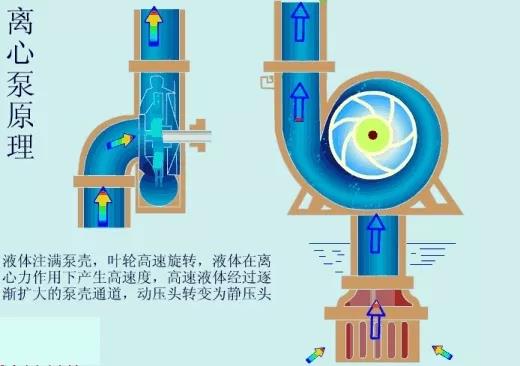 看图秒懂 17种泵的工作原理及性能特点展示图- 看图秒懂 17种泵的工作原理及性能特点展示图-