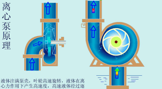 给（gei）水泵、给（ji）水泵别再傻傻分不清楚（内含动画）